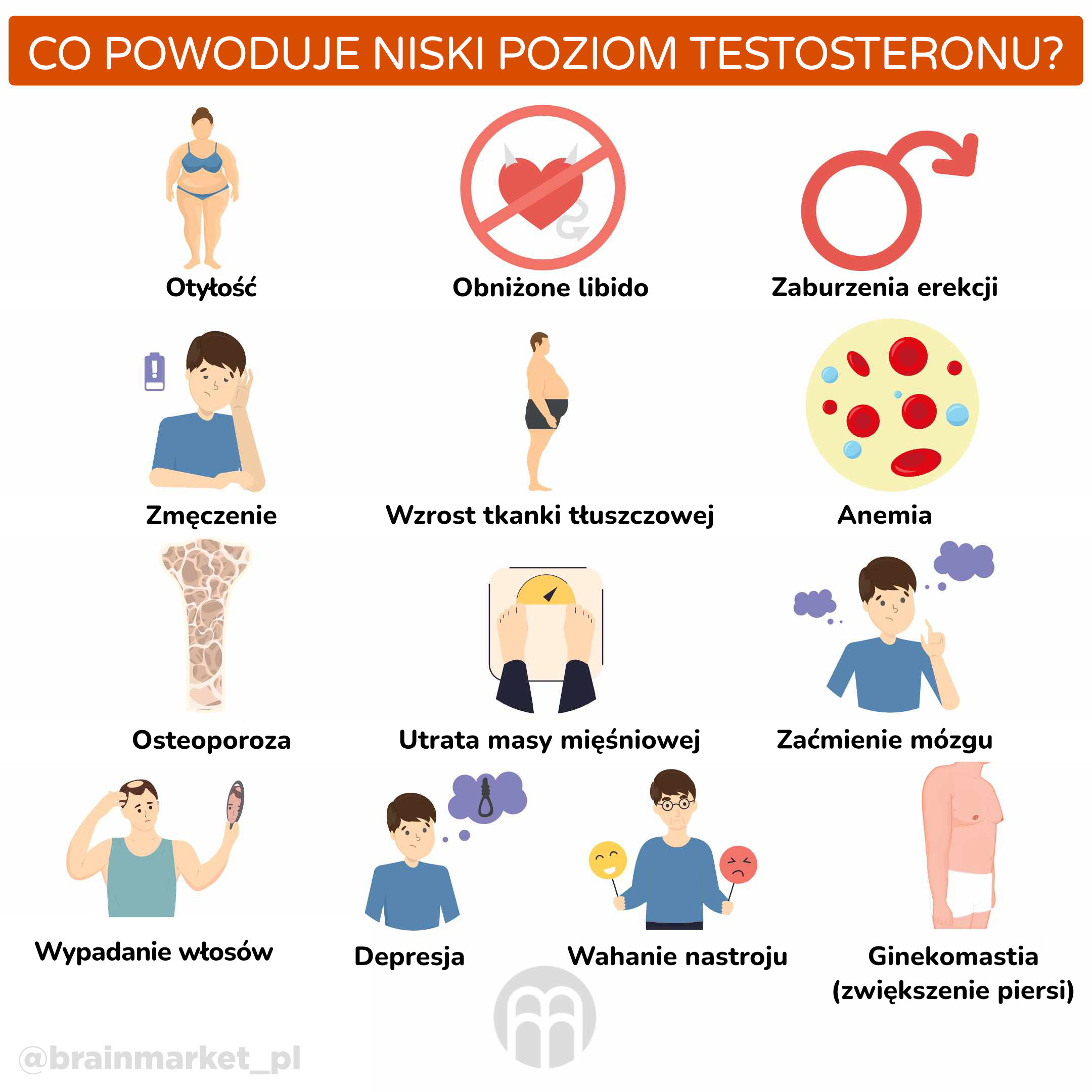 Co způsobuje nízká hladina testosteronu_ _infografika_pl